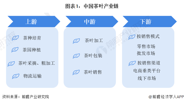 【干货】茶叶行业产业链全景梳理及区域热力地图(图1)