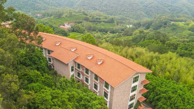 茗茶远离城市的喧嚣在青山绿水间尽情放松身心享受自然(图5)