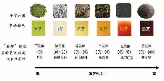 史上最全的茶知识普及大全不收藏后悔！(图9)