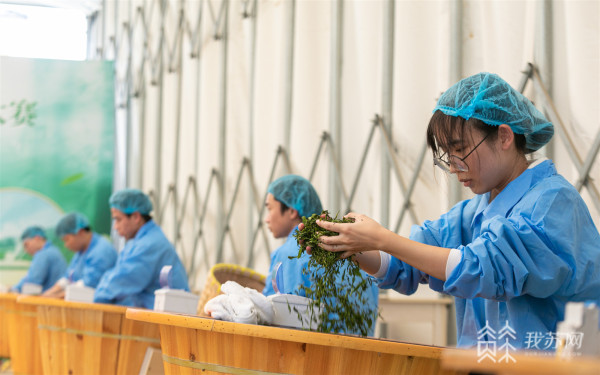 江苏农林职业技术学院开展“传承匠心学茶技以茶育人E星体育官网留茗香”主题党日活动(图4)