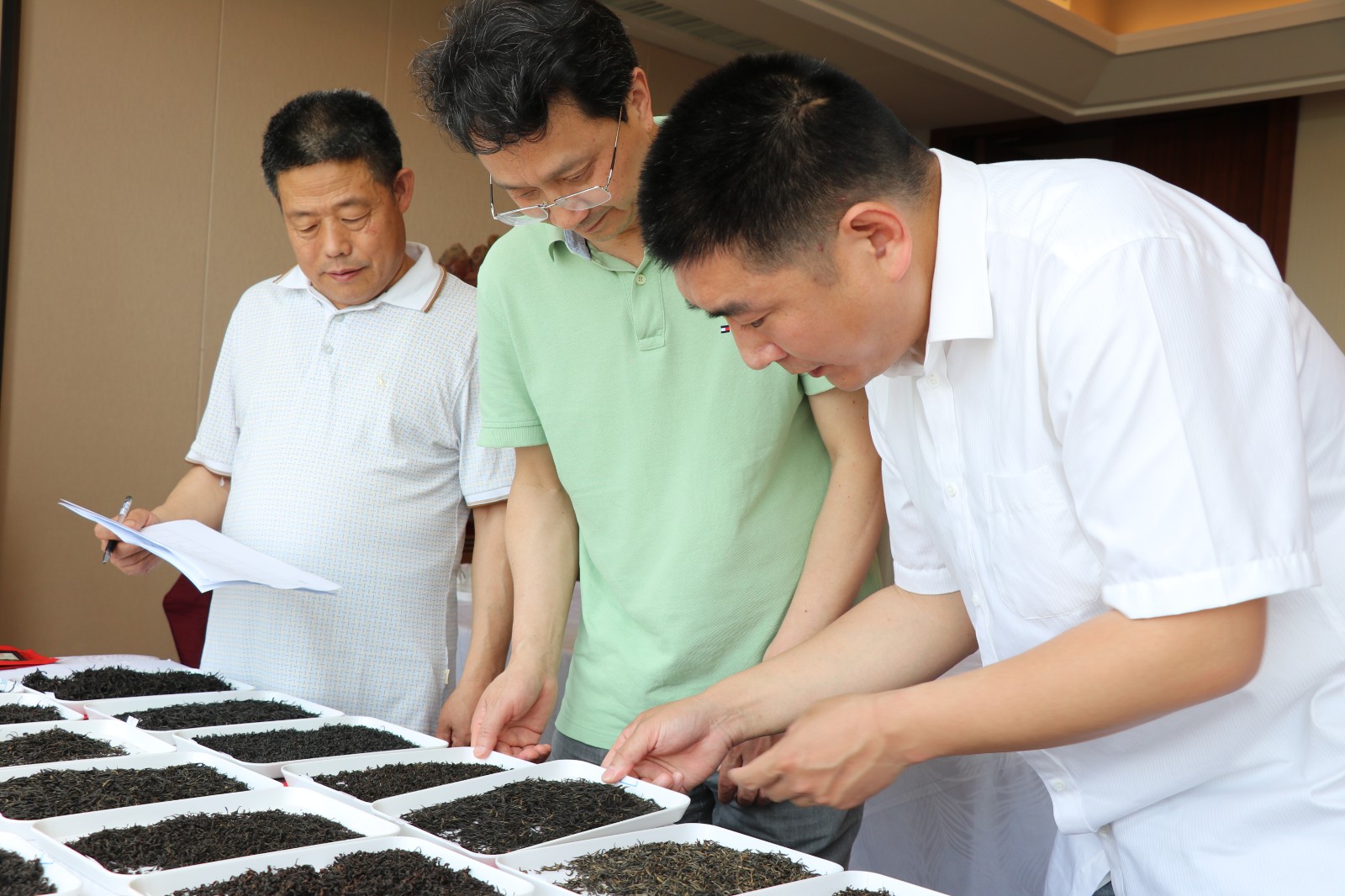 崂山十大名茶出炉啦(图3)