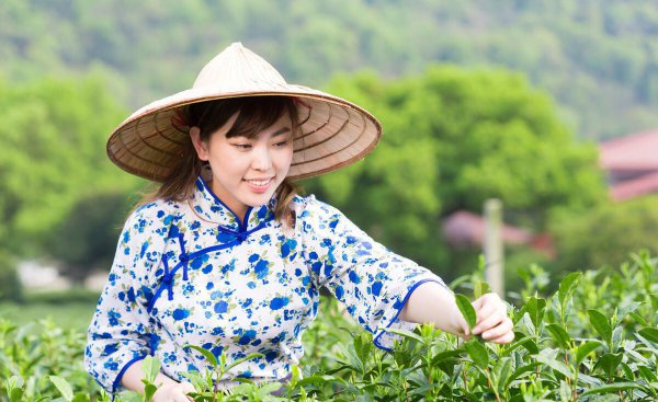 E星体育官网茗茶是什么意思 茗与茶两者有什么区别E星体育官方网站(图2)