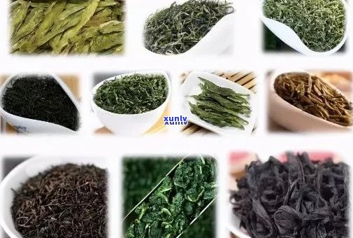 精选茗茶是什E星体育官方网站么品种-精选茗茶是什么品种的茶叶(图11)