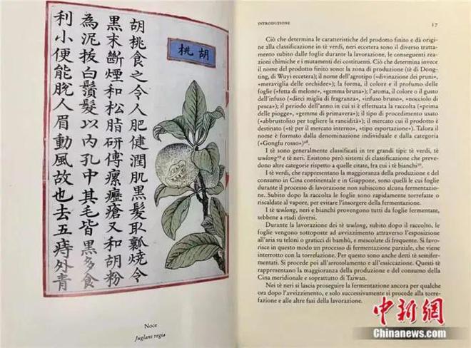 向世E星体育官方网站界敬一杯“武夷茶”汉学家赞称茶是中华文明的圣物(图7)