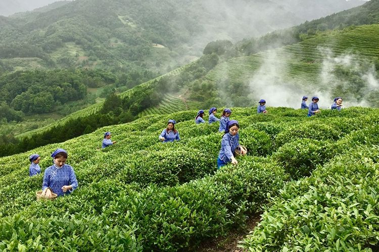 东裕茗茶布局西安高新CBD商圈 茶事生活体验馆落子绿地中心(图4)