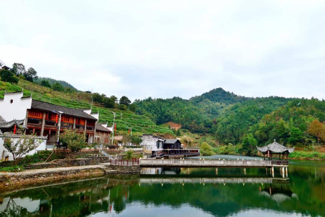 数字科技 茶界黑马横空出世——婺源“黎乾升”老茶号的当代复兴(图2)